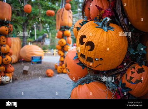 Stone Mountain Park Pumpkin Festival Near Atlanta Georgia Usa Stock