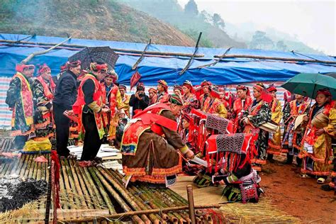 le cap sac  toc dao  vietnamvn