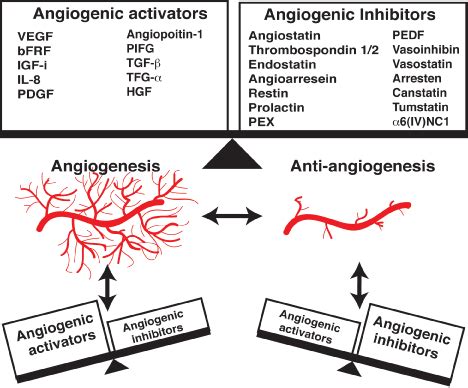 Angiogenesis Inhibitors