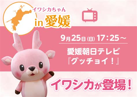 【9月25日放送】愛媛朝日テレビ『グッチョイ！』で岩下の新生姜を紹介＆イワシカちゃんも登場！｜岩下食品