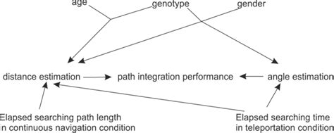 How Various Factors Influence Path Integration Pi Performance Through