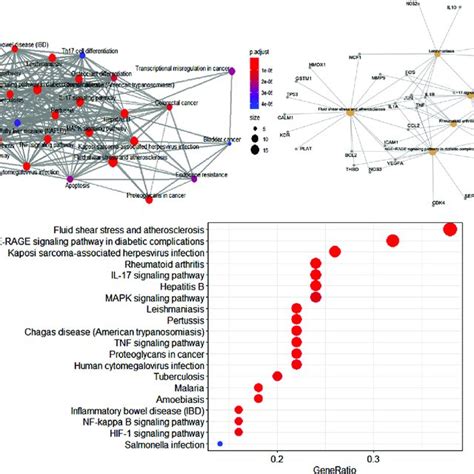 Go Enrichment Analysis Of Potential Genes A Biological Process Download Scientific Diagram