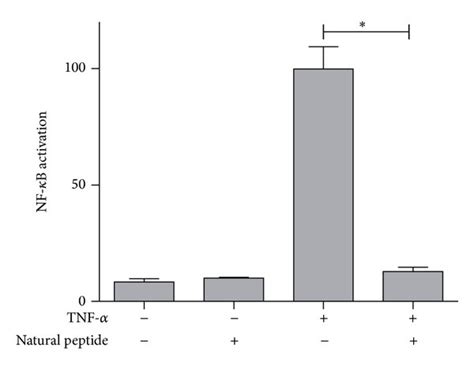 Natural Cyclic Peptide Effect On Nf κb Activation Induced By Tnf α And