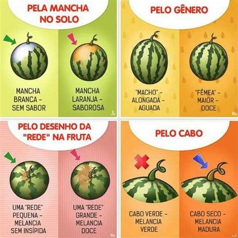 Como Escolher Uma Melancia Boa - Como Escolher Melancia – Panelaterapia