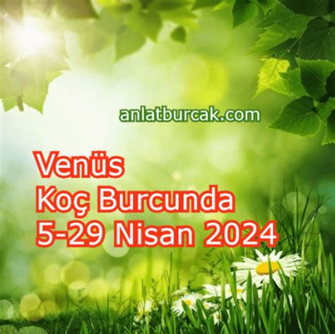 Venüs Koç Burcunda 5 29 Nisan 2024 Anlat Burçak