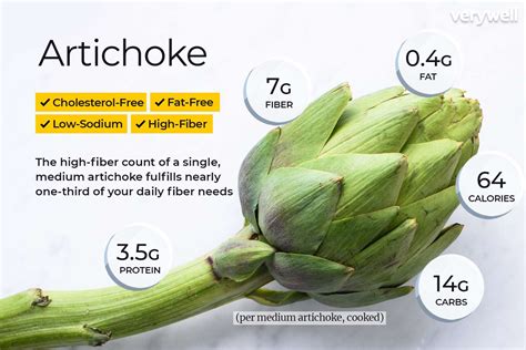 Artichoke Nutrition Data And Health Benefits