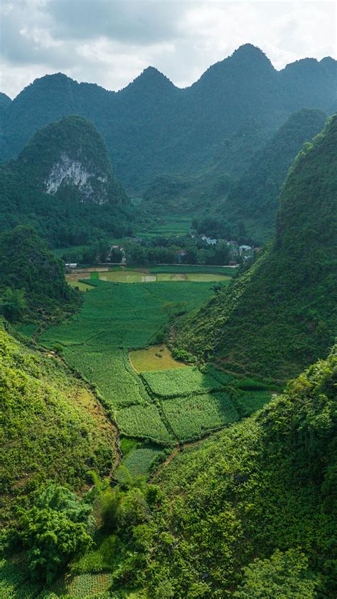 Rice Field And Strange Shape High Mountain At Sunrise Cao B Ng