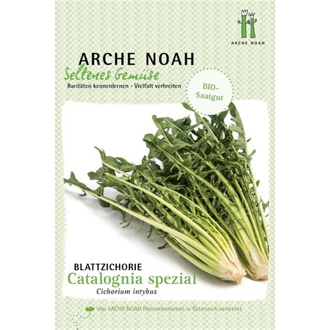 Arche Noah Catalogna spezial Bio levélcikória 1 csomag Bloomling