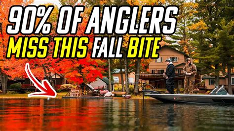 Don T Miss The BEST Fall Smallmouth Bite YouTube