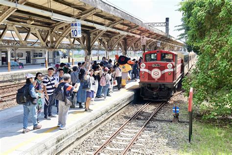 鐵道迷搶拍！睽違15年全線通車 阿里山林鐵10時開出首班車