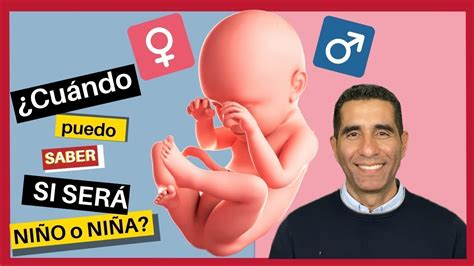 🤔cuándo Puedo Saber O Predecir El Sexo De Mi BebÉ Si Será 🚹niño O 🚺