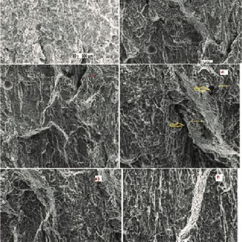 Sem Micrographs Of Tensile Fractured Surface Of The Aluminium Fe