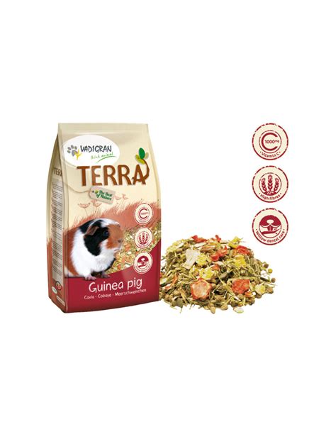 Comida Para Porquinho Da India Terra Alimento Premium Kg