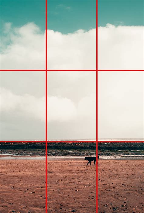 The Rule Of Thirds In Photography What Why And When To Break It