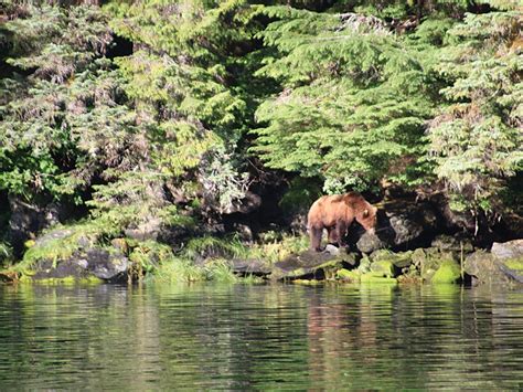 Photo Gallery Auke Bay Adventures