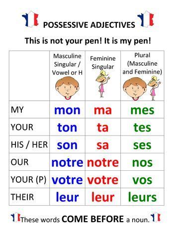 French Possessive Adjectives Pronouns Teaching Resources Artofit