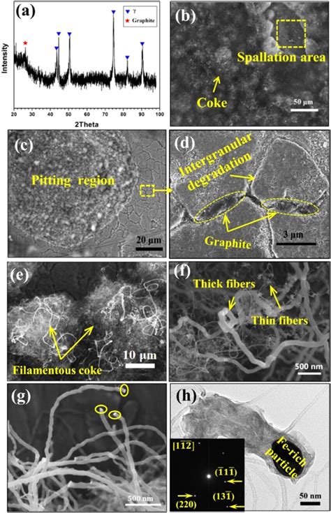 A Xrd Pattern B Surface Morphology Of The Uncoated Fecrni Alloy