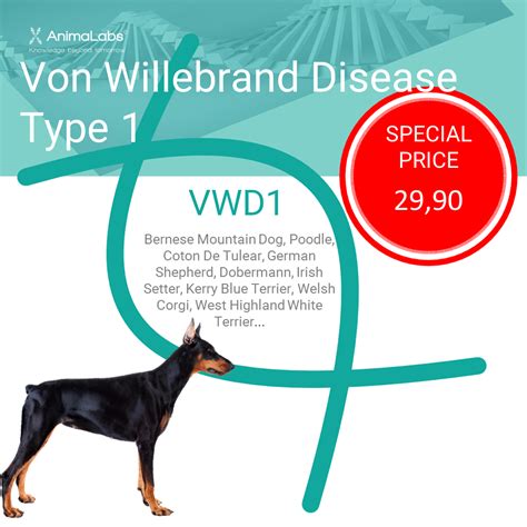 Von Willebrand Disease DNA Test - Special offer - AnimaLabs©