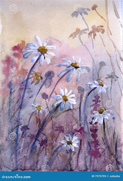 Aquarelle De Marguerites Illustration Stock Illustration Du Papier