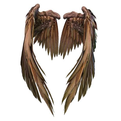 Pair Isolated Brown Angel Style Wings Feathers White Background