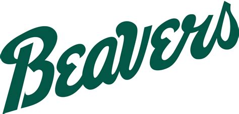 Bemidji State Beavers Wordmark Logo Ncaa Division I A C Ncaa A C