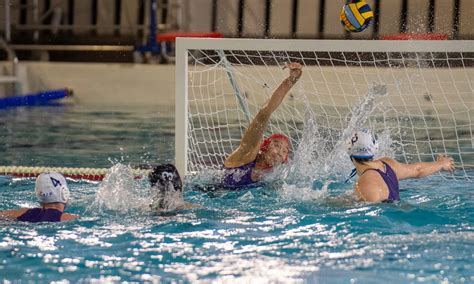 Lille Luc Vs Zv De Zaan Euro Cup Women Les Lilloises Si Pres