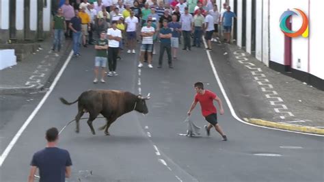 Tourada à corda na Vila Nova ilha Terceira Toiros de RB 29 08 2022