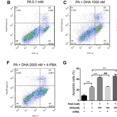 Inhibition Of Er Stress Blocks High Dose Dha Induced Apoptosis Of Islet