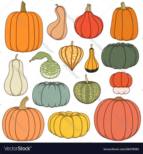 Set Color With Pumpkins Royalty Free Vector Image