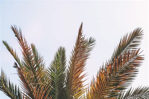 Background Bay Beach Free Photo On Pixabay Pixabay