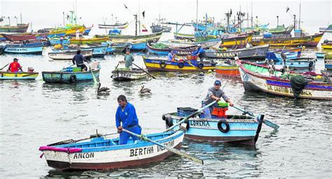 Gobierno Dará Luz Verde A Ley Que Prioriza La Pesca Artesanal Dentro De