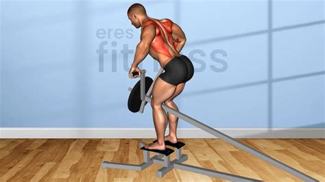 Ejercicio de Remo con Barra EZ Inclinado Guía Completa iFitness