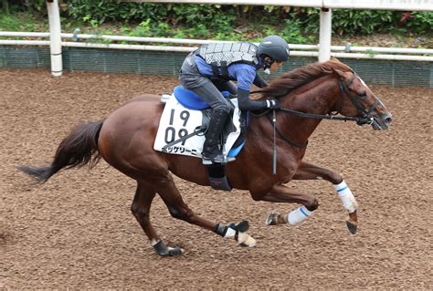 【京都大賞典】g2連覇狙うボッケリーニ、坂路を力強く池江調教師「前走とそん色ない」 Umatoku 馬トク