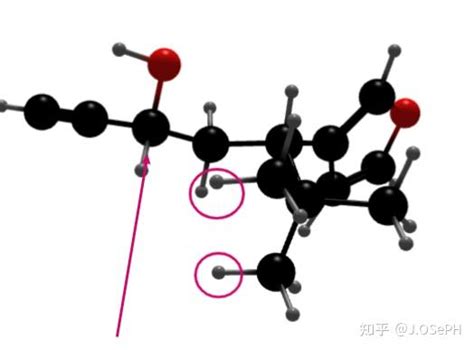 八年的执着和守望对于Michael T Crimmins对 Ginkgolide B及 Bilobalide全合成的工作的