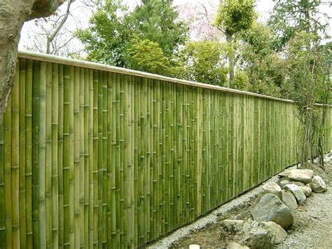 Take To Takebamboo Yokoyama Bamboo Products And Co Natural Hedges