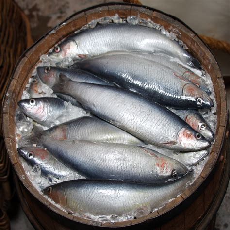 Barrel Of Fish Time And Tide Museum Of Great Yarmouth Lif Flickr