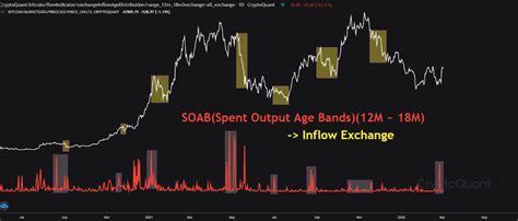 Sinyal Bearish Bitcoin Pertukaran Mengamati Arus Masuk Besar Dari