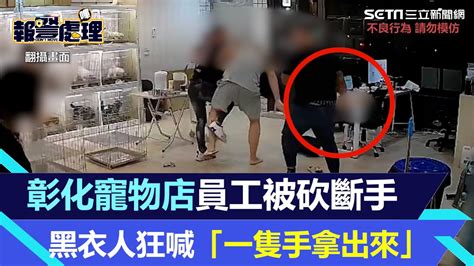 彰化寵物店員工斷手驚悚畫面曝光 黑衣人狂喊「一隻手拿出來」｜三立新聞網 Youtube