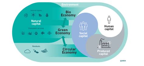 Working With The Asia Foundation And Apec On The Bio Circular Green