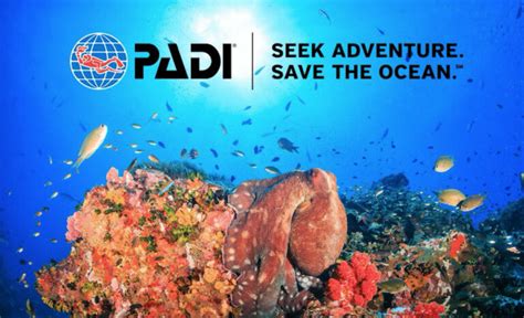 Padi Launches New Dive Guide Series Deeperblue