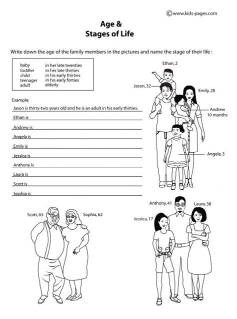 Age And The Stages Of Life Bandw Worksheet Worksheets Library