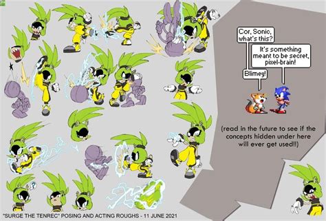 Surge The Tenrec Model Sheet R Sonicarchive