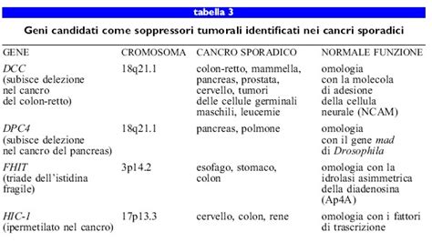 Le Basi Genetiche Del Cancro In Frontiere Della Vita