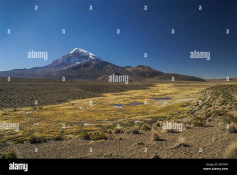 Nevado Sajama Map