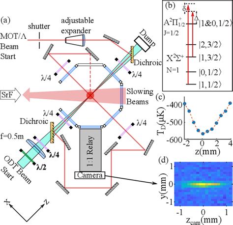 Figure From Polarization Enhanced Deep Optical Dipole Trapping Of