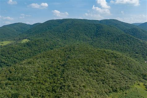 Prefeitura vai plantar mais de 6 mil árvores nas margens do Rio Jundiaí