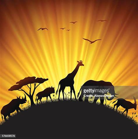 72 Oryx Silhouette Stock Photos, High-Res Pictures, and Images - Getty ...