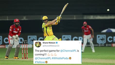 IPL 2020 Shane Watsons Prediction Tweet Goes Viral After CSK Thrash