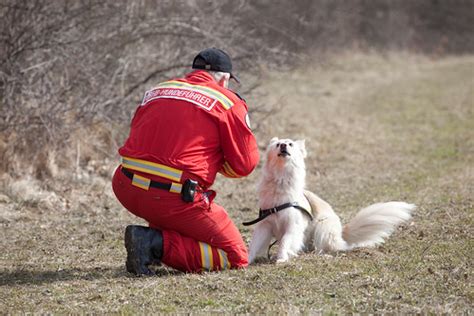 Rettungshunde Training Landes Bung Der Staffel Nord Der S Flickr