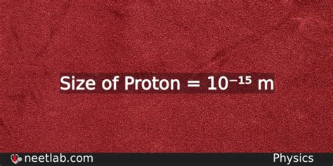 What is the size of proton in metres - NEETLab